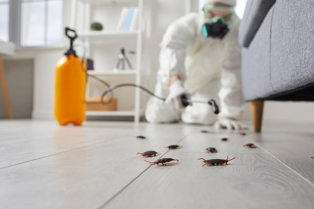 Post-Treatment Bed Bug Interceptor Monitoring in Roslyn