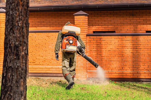 Bed Bug Clearance Verification and Documentation in Roslyn